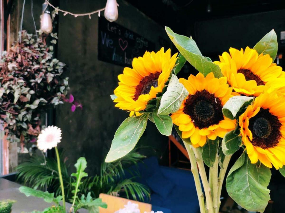 Znap'S Hostel & Cafe Chiang Mai Exterior photo